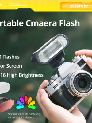 01-2_e0a283a6-c0eb-4140-8a6f-9535a0f7f3d0